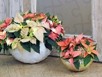 Kwiaty, Ornament, Donice