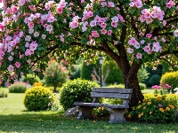 Park, Kwiaty, Drzewa, Klomby, Ławka