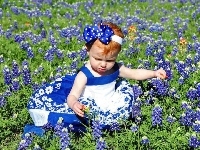 Kwiaty, Niebieska, Mała, Dziewczynka, Sukienka