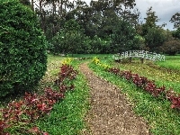 Drzewa, Nuwara Eliya, Mostek, Sri Lanka, Victoria Park, Kwiaty