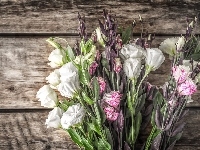 Kwiaty, Eustoma