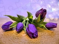 Fioletowe, Kwiaty, Tulipany