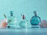 Perfumy, Kwiaty, Flakon, Tło, Niebieskie