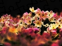 Kwiaty, Fractalius