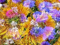 Kwiaty, Fractalius