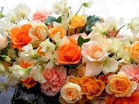 Kwiaty, Goździki 

, Różne, Kolorowe, Róże