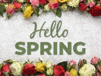 Hello Spring, Kolorowe, Kwiaty, Róże, Wiosna, Napis
