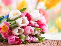 Kolorowe, Kwiaty, Tulipany