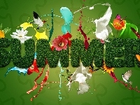 Kwiaty, Motyle, Grafika, Lato, Ptaki
