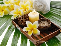 Taca, Ręcznik, Liść, Świeca, Sól, Plumeria, SPA, Kwiaty