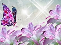 Motyl, Kwiaty, Fantasy
