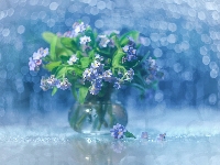 Kwiaty, Bokeh, Dekoracja, Niebieskie, Niezapominajki