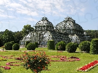 Ogród, Austria, Palmiarnia, Kwiaty, Schonbrunn, Wiedeń, Park