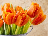 Kwiaty, Tulipany, Pomarańczowe
