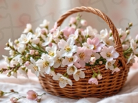 Białe, Kwiaty, Różowe, Koszyk, Wiklinowy