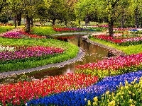 Kwiaty, Park, Rzeczka, Tulipany