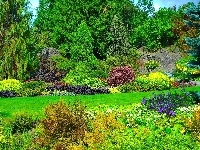 Park, Kwiaty, Kanada, Krzewy, Queen Elizabeth, Drzewa, Vancouver