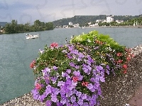 Kwiaty, Francja, Rzeka, Vienne, Panorama