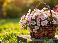 Koszyk, Drobne, Różowe, Kwiaty, Trawa, Wiklinowy