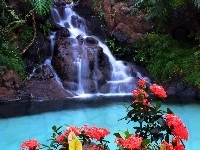 Kwiaty, Wodospad, Woda, Drzewa