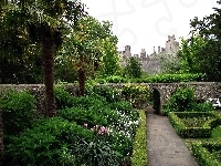 Hrabstwo West Sussex, Kwiaty Ogród, Zamek Arundel, Anglia, Drzewa