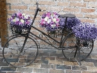 Rower, Kwietnik, Kwiaty
