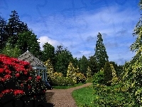Kwitnące, Park, Altanka, Rododendrony
