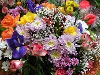Kwitnące, Kwiaty, Bukiet, Kolorowe