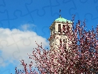Kwitnące, Wieża, Kościoła, Drzewo