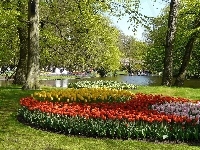 Kwitnące, Spacerowicze, Park, Rzeczka, Tulipany