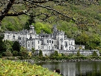 Irlandia, Mainistir na Coille Móire, Drzewa, Opactwo Kylemore Abbey, Hrabstwo Galway, Jezioro Kylemore Lough