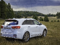 Kia Sorento SXL, Łąka