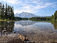 Drzewa, Lasy, Góry, Park Narodowy Jasper, Prowincja Alberta, Maligne Lake, Kanada, Jezioro