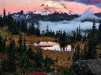 Jezioro, Góra, Stratowulkan, Mount Rainier, Tipsoo Lake, Stan Waszyngton, Stany Zjednoczone, Drzewa, Park Narodowy Mount Rainier