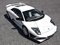 Lamborghini Murcielago, Białe, LP640