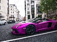 Miasto, Lamborghini Aventador, Purpurowe