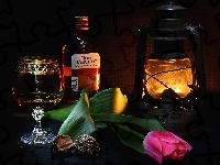 Lampa, Kompozycja, Alkohol, Tulipan