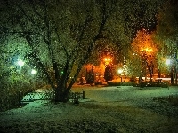 Lampy, Zima, Park, Drzewa, Noc