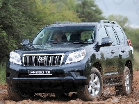Prado TX, Toyota, Land Cruiser, Droga