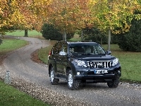 Land Cruiser, Toyota, Samochód