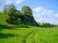 Łąka, Las, Chmury