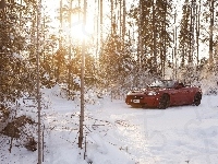 Las, Zima, Jaguar, Cabrio, Światło