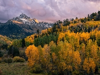 Góry, Kolorado, Stany Zjednoczone, Mount Sneffels, Las, Chmury, Niebo, Jesień, Drzewa