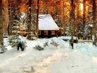 Domek, Las, Śnieg