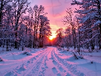 Zachód słońca, Droga, Zima, Drzewa, Grafika AI, Las