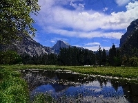 Las, Chmury, Góry, Staw