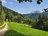 Ścieżka, Góry, Las, Zbocze