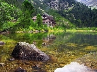 Las, Domek, Góry, Jezioro