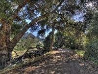 Las, Kalifornia, Droga, Góry, Malibu