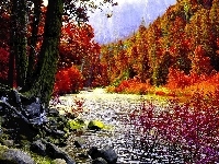 Las, Jesień, Góry, Potok